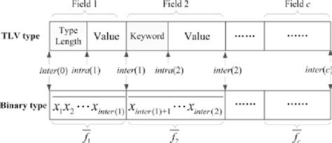 tlv binary format